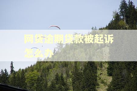 网贷逾期贷款被起诉怎么办