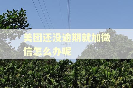美团还没逾期就加微信怎么办呢