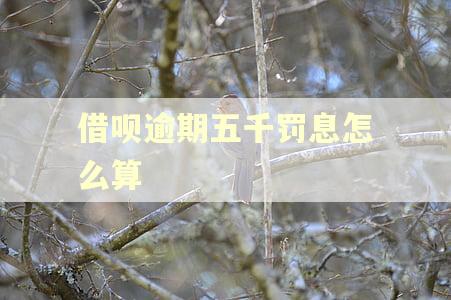 借呗逾期五千罚息怎么算