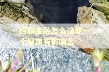 招联金融怎么逾期一个星期有影响么