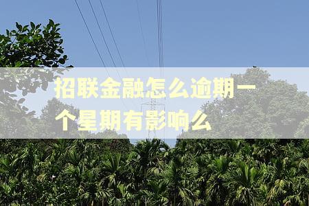 招联金融怎么逾期一个星期有影响么