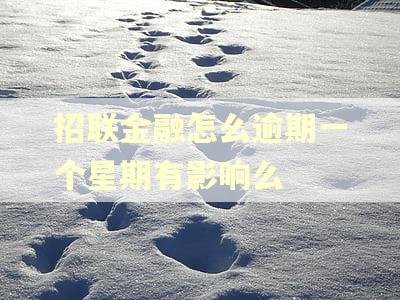 招联金融怎么逾期一个星期有影响么