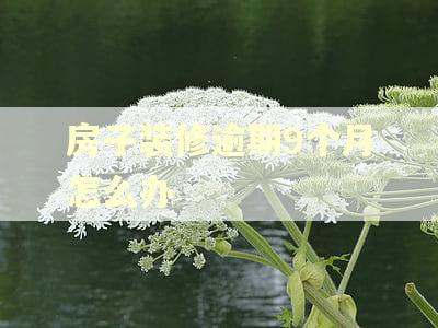 房子装修逾期9个月怎么办 房子装修逾期9个月怎么办