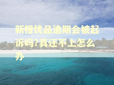新橙优品逾期会被起诉吗?真还不上怎么办