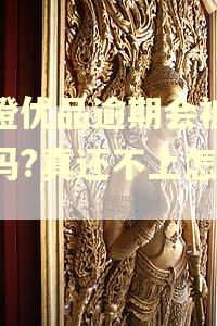 新橙优品逾期会被起诉吗?真还不上怎么办