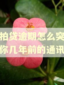 拍拍贷逾期怎么突然爆你几年前的通讯录