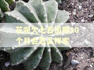 花呗欠七百逾期10个月会怎么样呢