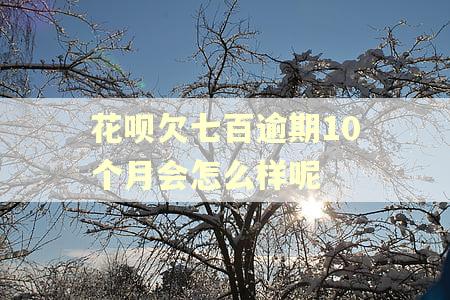 花呗欠七百逾期10个月会怎么样呢