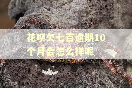 花呗欠七百逾期10个月会怎么样呢