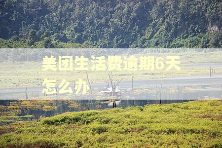 美团生活费逾期6天怎么办