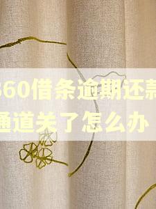 360借条逾期还款通道关了怎么办
