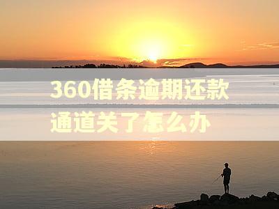 360借条逾期还款通道关了怎么办