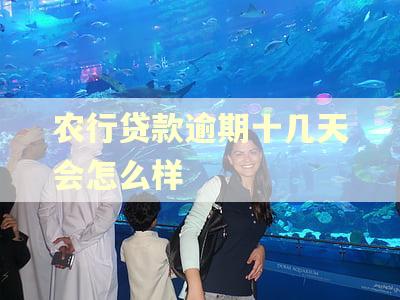 农行贷款逾期十几天会怎么样 农行贷款逾期十几天会怎么样