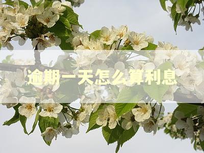 逾期一天怎么算利息 逾期一天怎么算利息