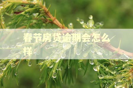 春节房贷逾期会怎么样