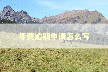 年费逾期申请怎么写