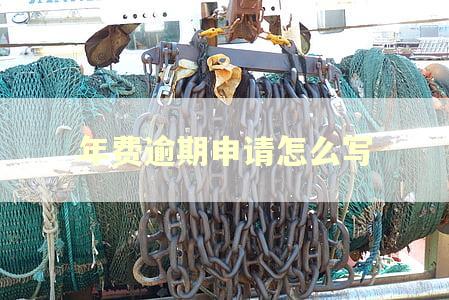 年费逾期申请怎么写 年费逾期申请怎么写