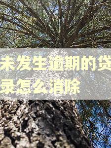 从未发生逾期的贷款记录怎么消除