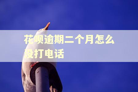花呗逾期二个月怎么没打电话