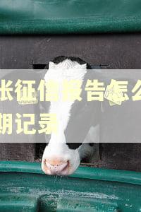 一张征信报告怎么看逾期记录