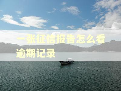 一张征信报告怎么看逾期记录