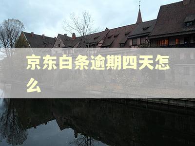 京东白条逾期四天怎么