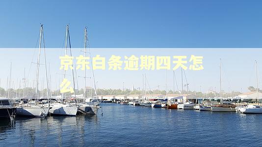 京东白条逾期四天怎么