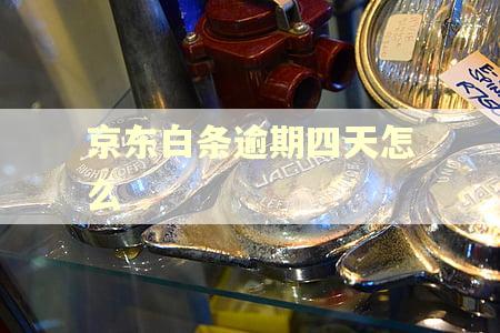 京东白条逾期四天怎么 京东白条逾期四天怎么