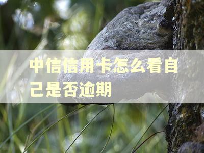 中信信用卡怎么看自己是否逾期