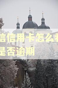 中信信用卡怎么看自己是否逾期