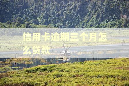 信用卡逾期三个月怎么贷款