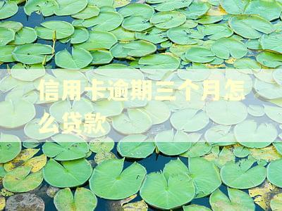 信用卡逾期三个月怎么贷款