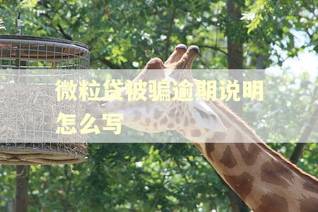 微粒贷被骗逾期说明怎么写