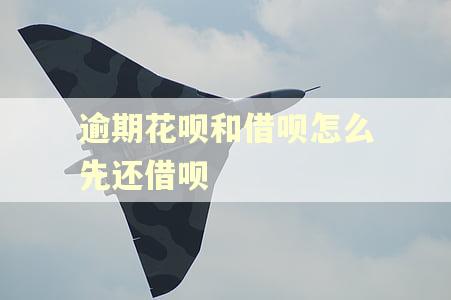 逾期花呗和借呗怎么先还借呗