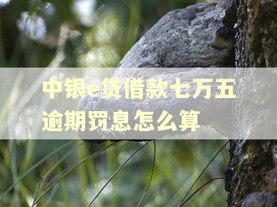 中银e贷借款七万五逾期罚息怎么算