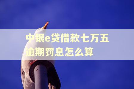 中银e贷借款七万五逾期罚息怎么算