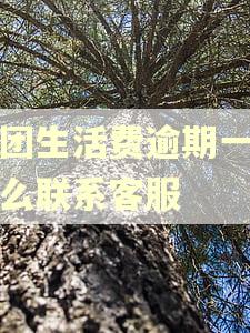 美团生活费逾期一天怎么联系客服 美团生活费逾期一天怎么联系客服