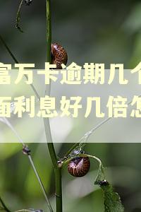 玖富万卡逾期几个月上面利息好几倍怎么办