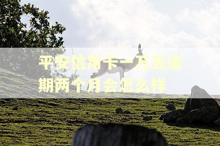 平安信用卡一万五逾期两个月会怎么样