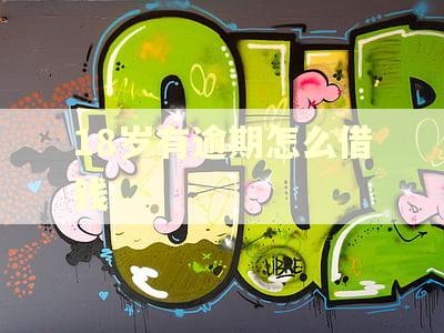 18岁有逾期怎么借钱