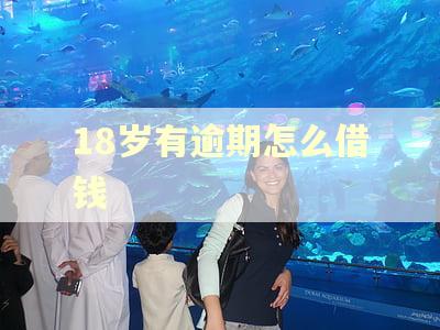 18岁有逾期怎么借钱 18岁有逾期怎么借钱