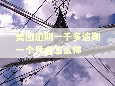 美团逾期一千多逾期一个月会怎么样