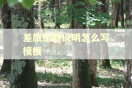 差旅逾期说明怎么写模板
