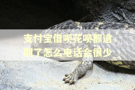支付宝借呗花呗都逾期了怎么电话会很少