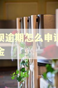 花呗逾期怎么申请备用金