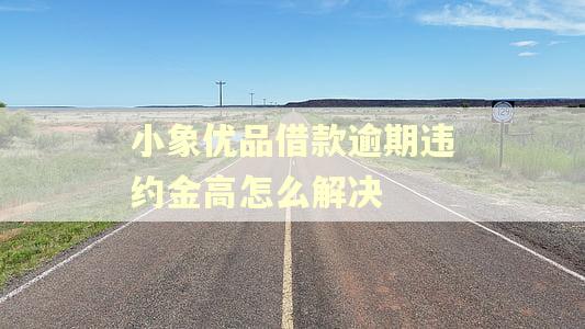 小象优品借款逾期违约金高怎么解决