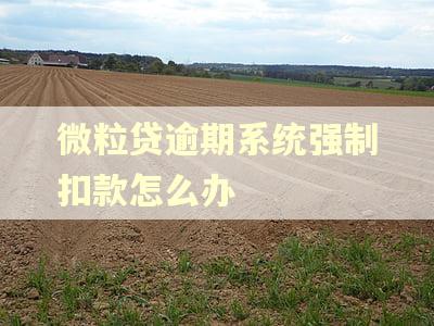 微粒贷逾期系统强制扣款怎么办