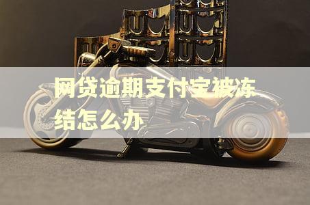 网贷逾期支付宝被冻结怎么办