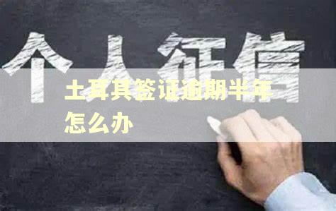 土耳其签证逾期半年怎么办 土耳其签证逾期半年怎么办
