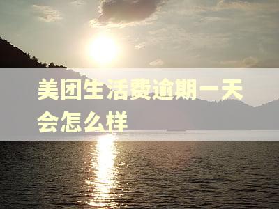 美团生活费逾期一天会怎么样